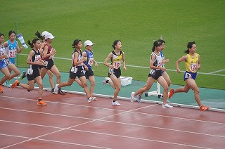 DSC02531
