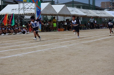 IMG_1379