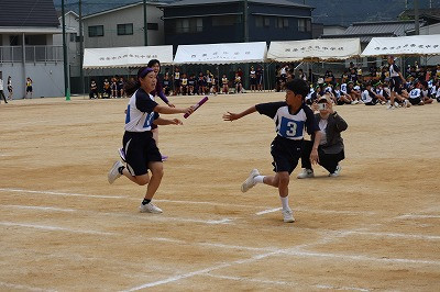IMG_1521